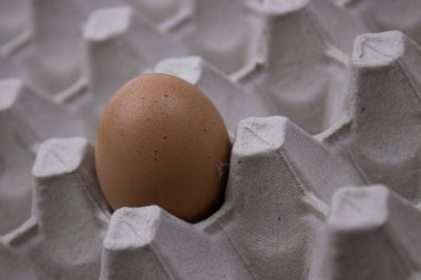 Organik Taze Yumurta 'yı kapat