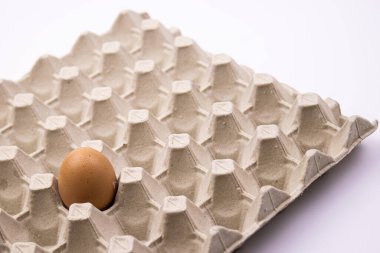 Organik Taze Yumurta 'yı kapat