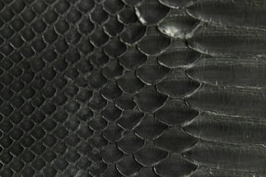 Python skin has a natural pattern of geometric shapes, which can be either bleached out for a solid color or left intact to show through dye