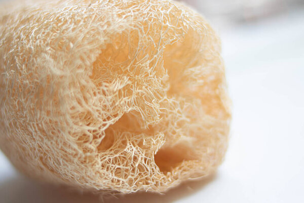 Loofahs are natural sponges made from the dried, fibrous fruit of the Luffa gourd plant
