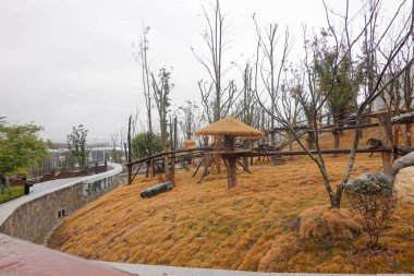 Mianyang Çin Dev Panda Bahçesi bu fotoğraf 3 Ocak 2026 'da, Mianyang City, Sichuan, Çin' de çekildi.