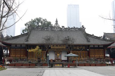 Canlı menekşe sinerarya çiçeklerinin yakın plan görüntüsü, kadife yaprakları narin beyaz merkezlere yayılıyor. Zengin mor renkler, koyu yeşil deniz tarağı yapraklarıyla çok güzel tezat oluşturuyor.,