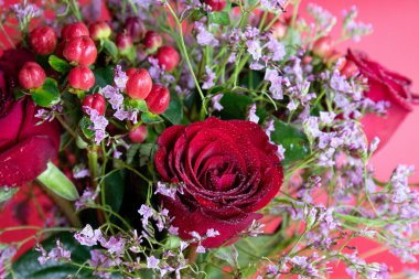 Taze çiğ damlalarıyla süslenmiş koyu kırmızı güller, parlak kırmızı hiperikum meyveleri ve narin pembe dolgu çiçekleriyle çevrili yakın plan bir çiçek sergisi..
