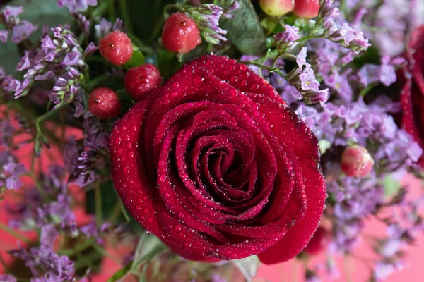 Taze çiğ damlalarıyla süslenmiş koyu kırmızı güller, parlak kırmızı hiperikum meyveleri ve narin pembe dolgu çiçekleriyle çevrili yakın plan bir çiçek sergisi..