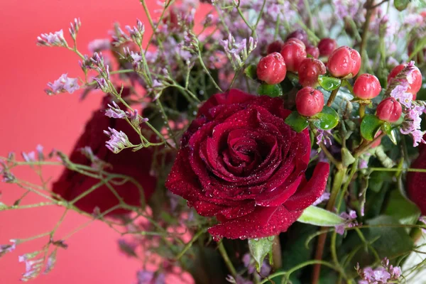Taze çiğ damlalarıyla süslenmiş koyu kırmızı güller, parlak kırmızı hiperikum meyveleri ve narin pembe dolgu çiçekleriyle çevrili yakın plan bir çiçek sergisi..