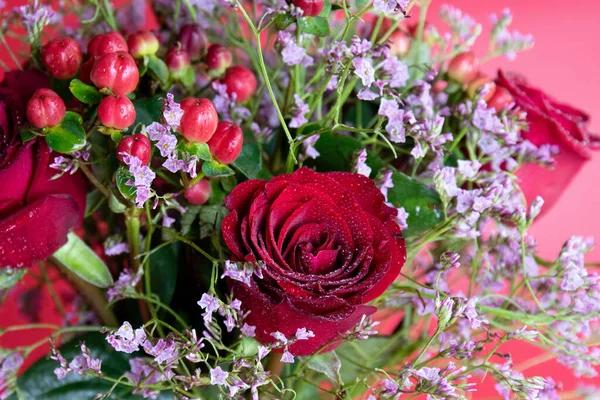 Taze çiğ damlalarıyla süslenmiş koyu kırmızı güller, parlak kırmızı hiperikum meyveleri ve narin pembe dolgu çiçekleriyle çevrili yakın plan bir çiçek sergisi..
