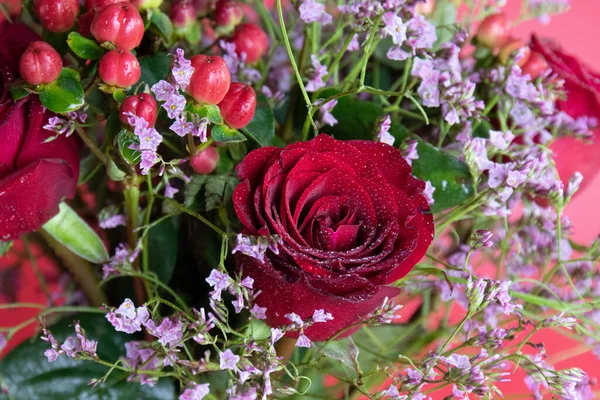 Taze çiğ damlalarıyla süslenmiş koyu kırmızı güller, parlak kırmızı hiperikum meyveleri ve narin pembe dolgu çiçekleriyle çevrili yakın plan bir çiçek sergisi..