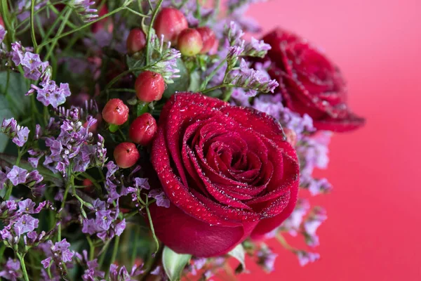 Taze çiğ damlalarıyla süslenmiş koyu kırmızı güller, parlak kırmızı hiperikum meyveleri ve narin pembe dolgu çiçekleriyle çevrili yakın plan bir çiçek sergisi..