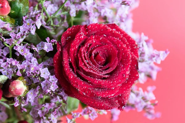 Taze çiğ damlalarıyla süslenmiş koyu kırmızı güller, parlak kırmızı hiperikum meyveleri ve narin pembe dolgu çiçekleriyle çevrili yakın plan bir çiçek sergisi..