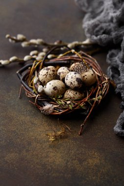 Quail eggs in nest with feathers, moss and pussy willow twigs on dark concrete background. Side view, copy space. Easter composition or greeting card. Holiday symbol 