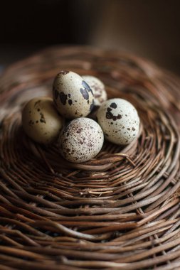 Hasır sepette bıldırcın yumurtası. Yakın görüş, seçici odaklanma. Paskalya arkaplanı