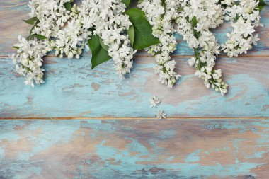 Mavi ahşap arka planda beyaz leylak çiçekleri. Kopya alanı olan bahar çiçekleri kompozisyonu. Üst manzara, düz uzanma
