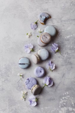 Gri beton arka planda çiçekli çok renkli pastel kurabiyeler.