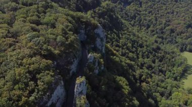 Güzel Jura Dağları 'nda yükselen kayaların arasında uzanan çarpıcı yolu keşfedin. Yazın canlı yeşilliğini tecrübe et, doğanın geliştiği ve her dönemeçte maceranın seni beklediği..