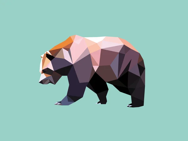 Bear 02 — Stock Photo, Image