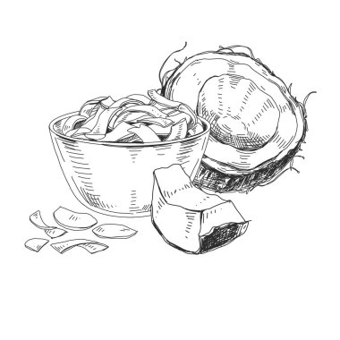 Hindistan cevizi cipsi kasesi ve hindistan cevizi, retro el çizimi vektör çizimi.