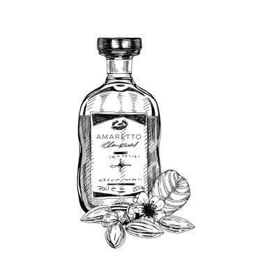 Amaretto şişesi, retro el çizimi vektör illüstrasyonu.