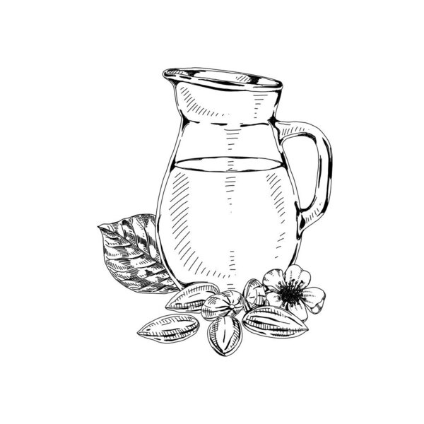 Almond oil jug, retro hand drawn vector illustration.