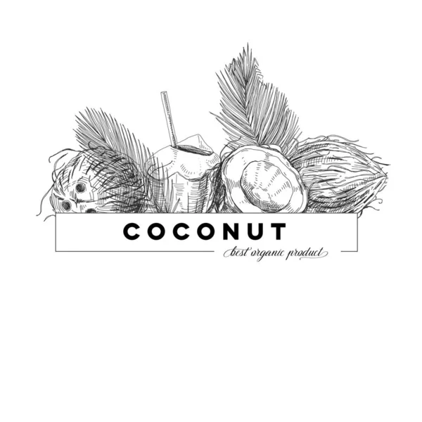 Kokosový plakát, retro ručně kreslená vektorová ilustrace. — Stockový vektor