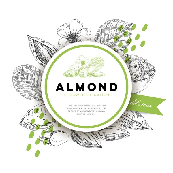Almond ronde frame poster, retro met de hand getekend vector illustratie. — Stockvector