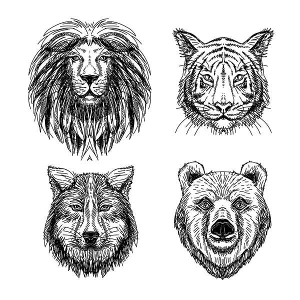 Vector set of hand drawn animal. Sketch illustrations.