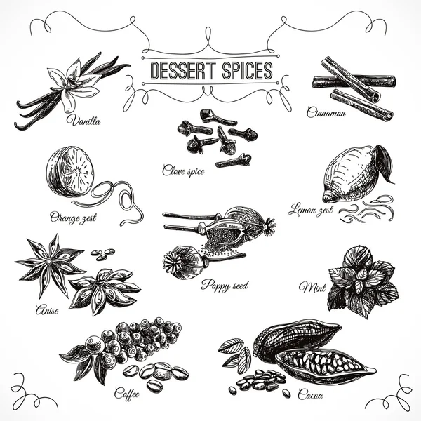 Vector hand getekende set met dessert specerijen. — Stockvector