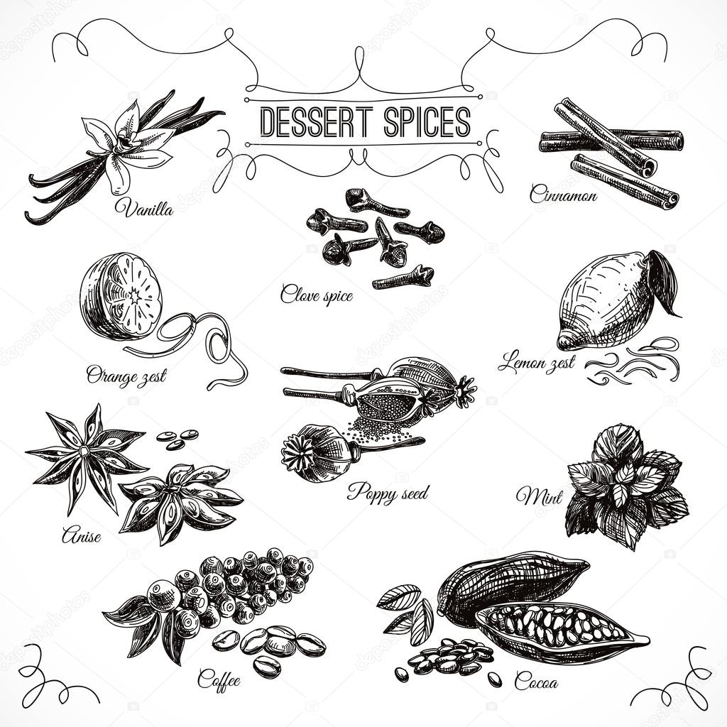 Vector hand drawn set with Dessert Spices. 