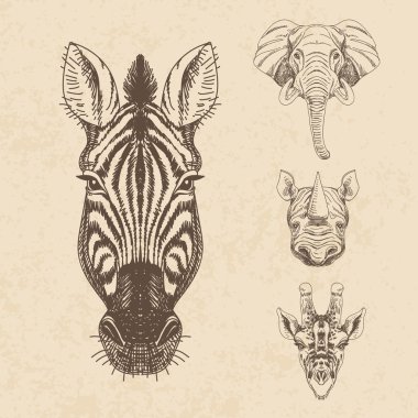 Vector set of hand drawn animal. Vintage illustration with eleph