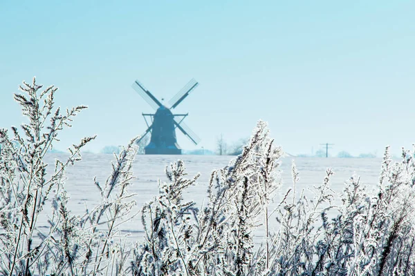 德国Saerbeck Sinningen气候社区有一座历史性风车的冬季雪景 图库照片