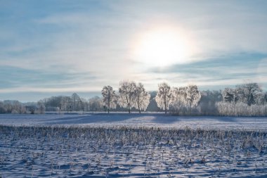 Mavi gökyüzü ve güneşli, karlı bir yer.