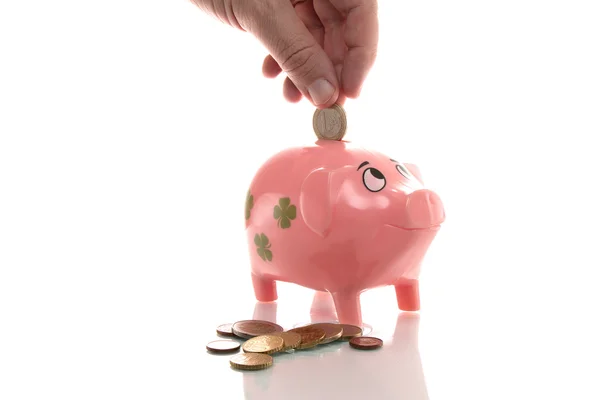 Pink money pigg with Euro — Stock Photo, Image