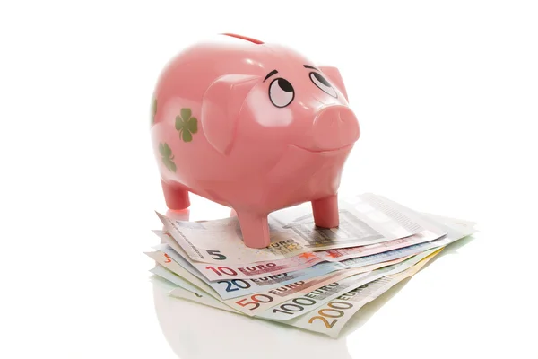 Pink money pigg with Euro — Stock Photo, Image