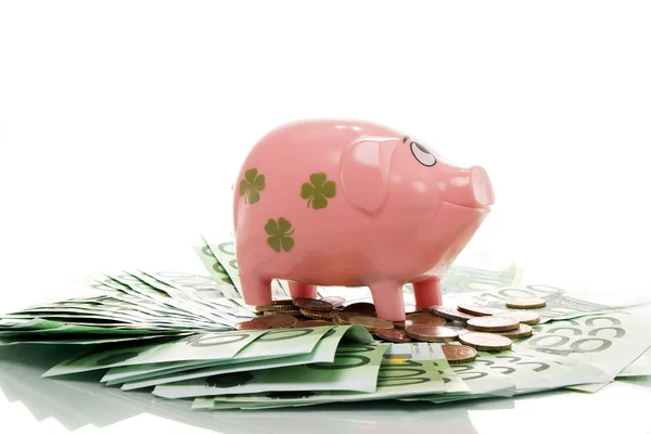 Pink money pigg with Euro — Stock Photo, Image