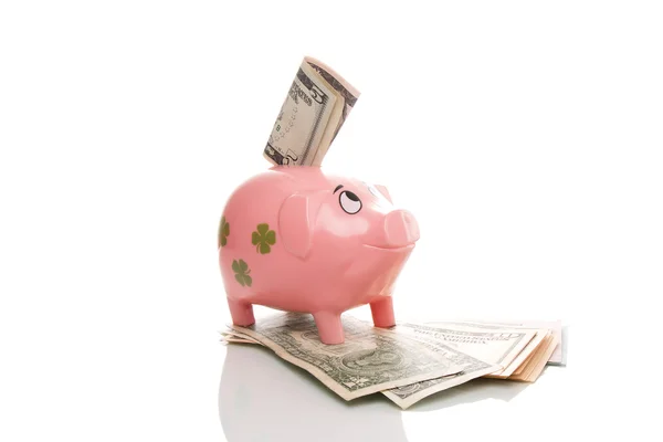 Pink money pigg with Dollar — Stock Photo, Image