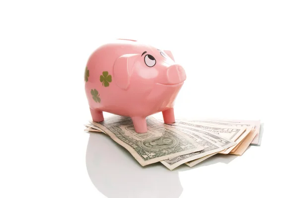 Pink money pigg with Dollar — Stock Photo, Image