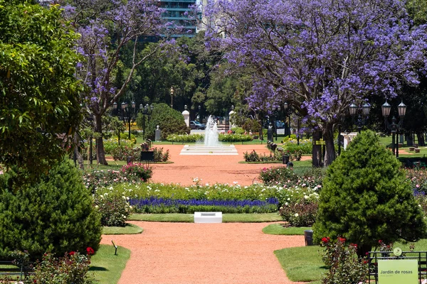 Rose Park (Rosedal), Buenos Aires Argentyna — Zdjęcie stockowe