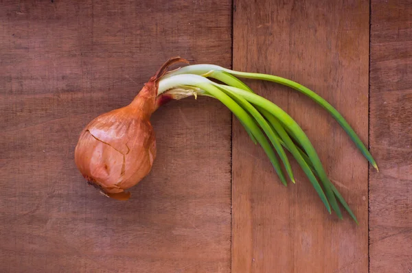 Yeşiller ile soğan