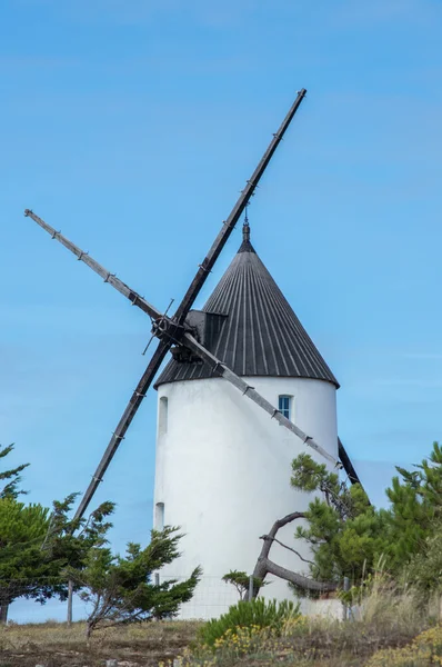 Beyaz deniz kenarında yel değirmeni