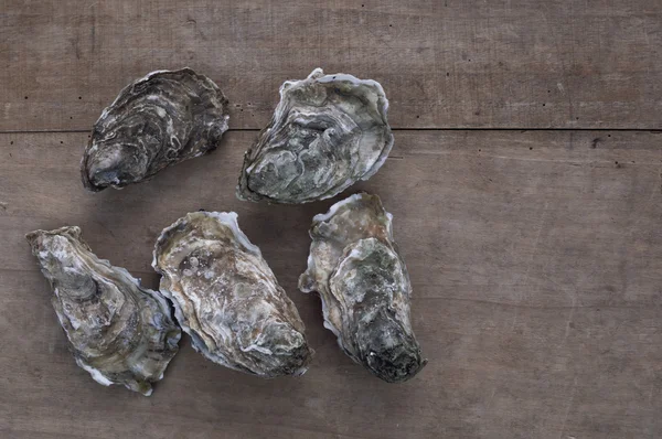 Taze istiridye açılmamış