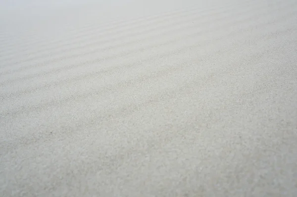 Sand background texture light color summer — Stock Photo, Image