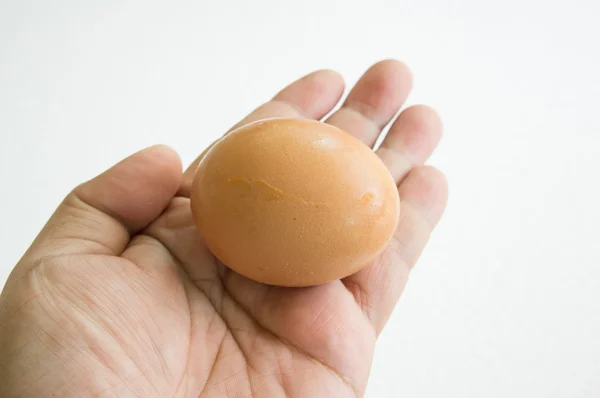 Egg hand hold one human thumb index concept — Stock Photo, Image