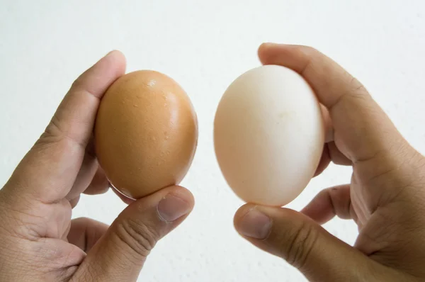 Egg hand hold one human thumb index concept — Stock Photo, Image
