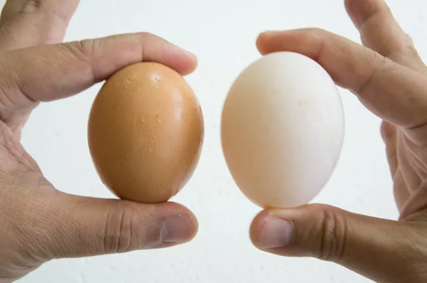 Egg hand hold one human thumb index concept — Stock Photo, Image