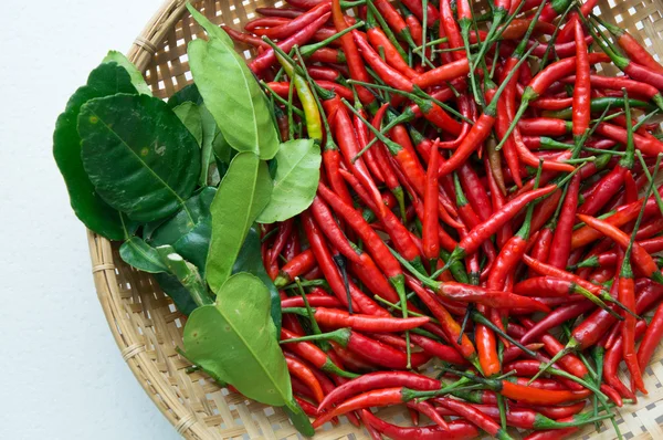Chili ingrédients préparation épicé chaud oriental concept frais — Photo