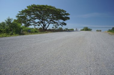 çiftlik alanı geçit ağaç bitki toprak tarım çiftçi iş concep