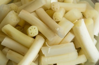 Lotus kök sapı bitki yiyecek hazırlama yemek kavramı