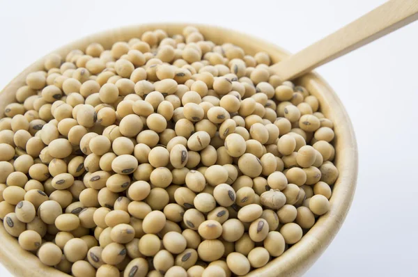 Soya soya sebze beslenme soya kavramı