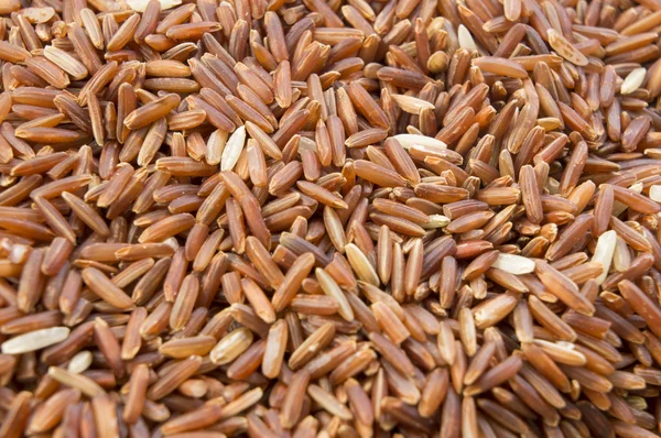 Jasmin thailändska röda långkornigt ris koncept — Stockfoto