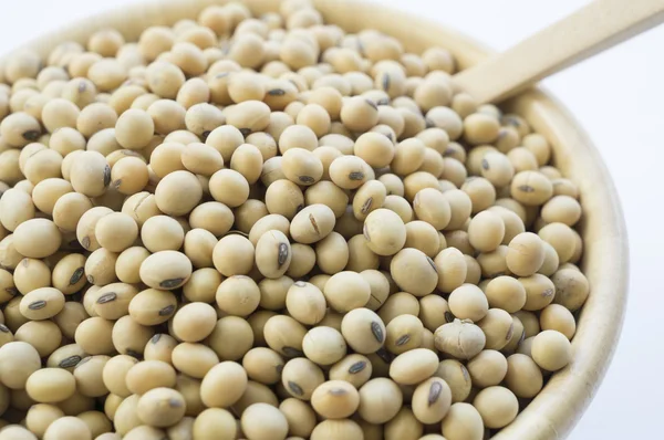 Soya soya sebze beslenme soya kavramı
