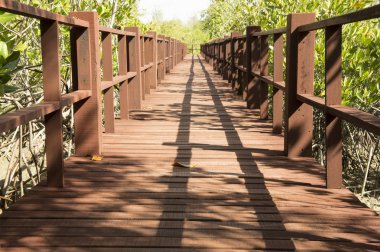 güneş ışığı patika yürüyüş ahşap sahil tur kavramı